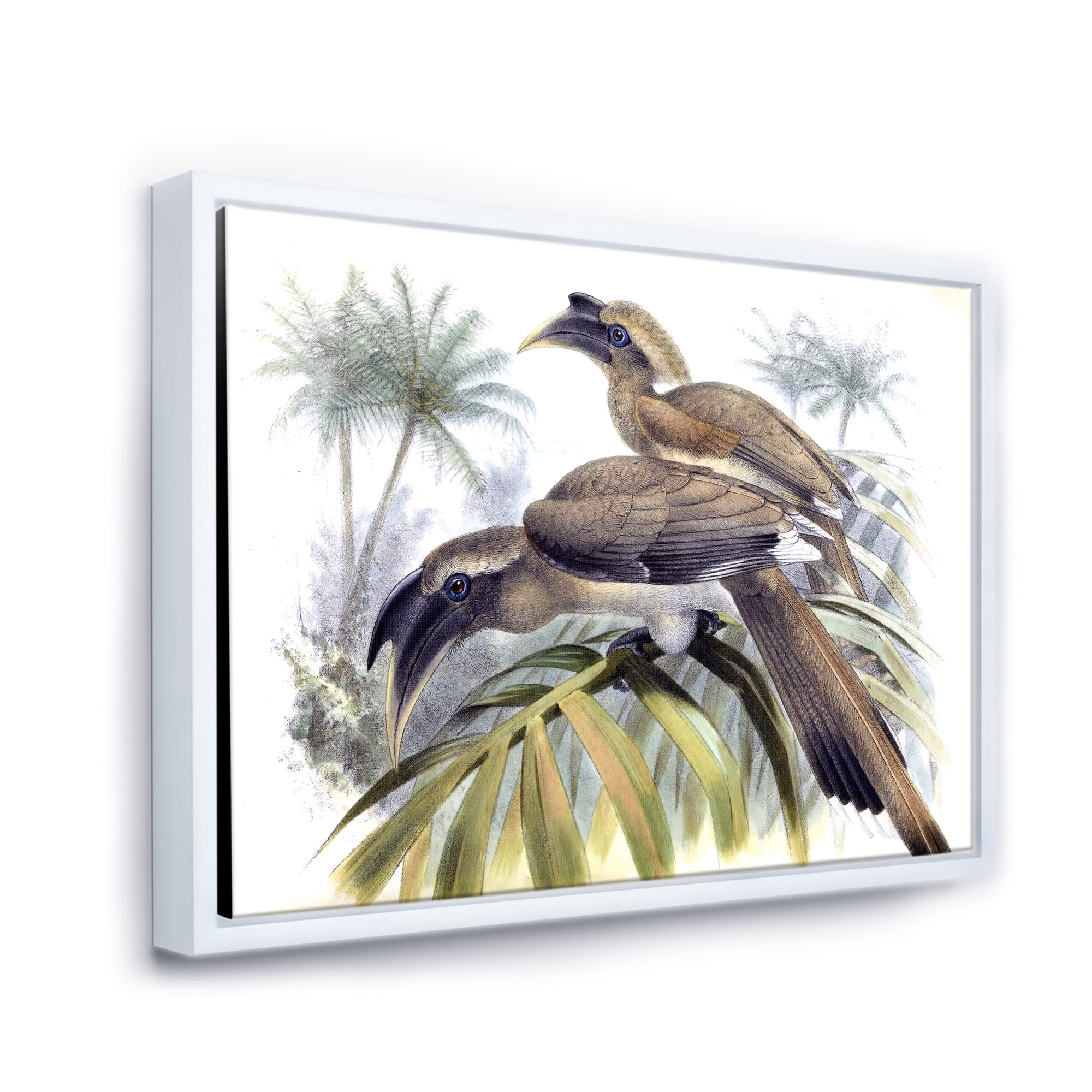Designart 'Ancient Australian Birds XIV' Traditional Framed Canvas Wall Art Print