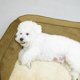 thumbnail image 4 of Puppy Indoor Home Dog Bed Accessories Kennel Canil Enclose Dog Bed Camping Cat Shop Furniture Casa Perro Pet Products MR50DH ShopWise Round, 4 of 8