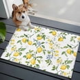 thumbnail image 4 of Rectangle Area Rug 2x3ft,Summer Watercolor Lemon Flower Washable Carpet Non-Slip Runner Accent Rugs Indoor Floor Mat for Bedroom Living Room Decor,Spring Farm Fruit Green Leaf, 4 of 9