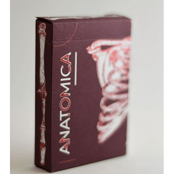 Anatomica Anatomical Playing Cards by Curio