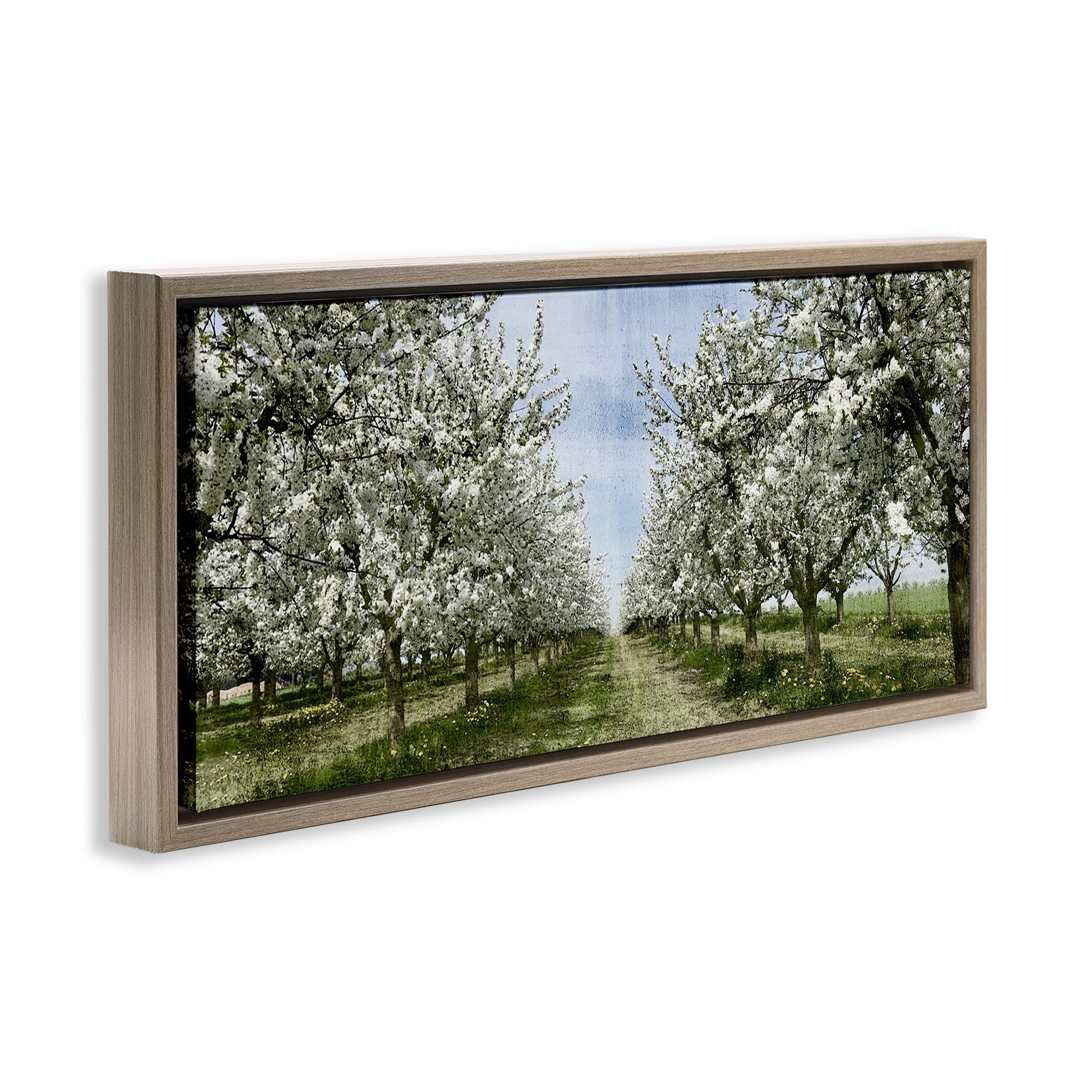 Stupell Industries Blooming White Tree Orchard Landscape Photography Brown Floater Framed Canvas Art Print Wall Art, 25 x 11