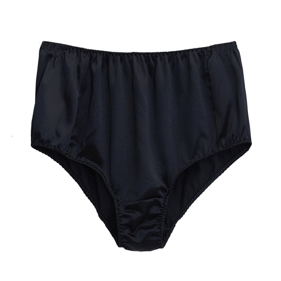 French Cut High Rise Pure Silk Pantie