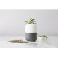 thumbnail image 2 of Chef'n Small Self Watering Ceramic Herb Planter, 2 of 5