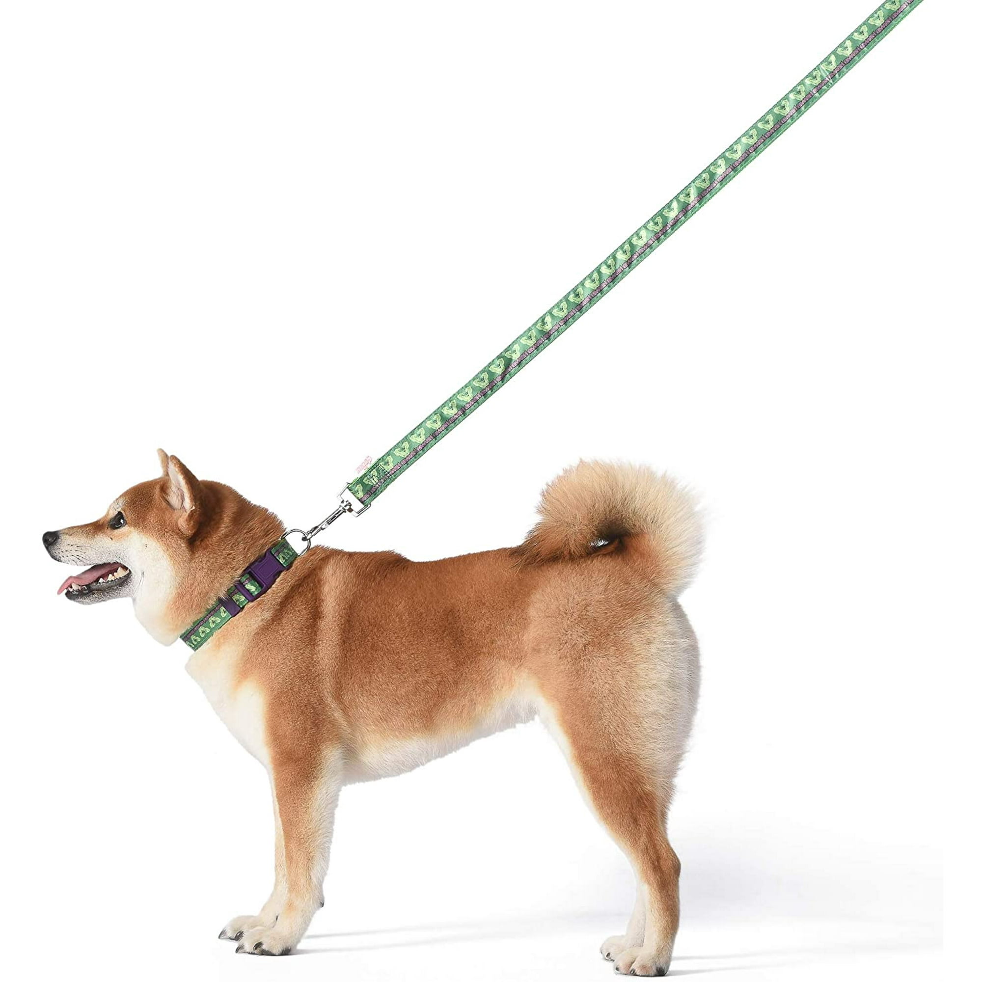 ATTOE Comics The Incredible Hulk 4 Foot Leash or 6 Foot ATTOE Green Attach to Dog Harness Cute Leashes for Dogs Green ATTOE Leash for Dogs Pet