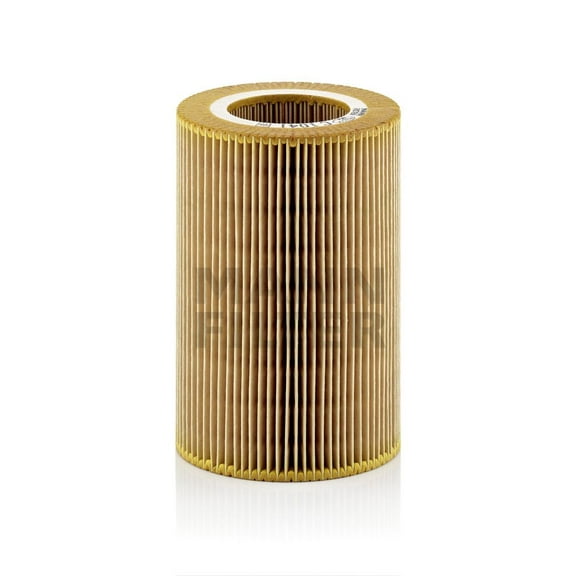 Mann-Filter C 1041 Air Filter