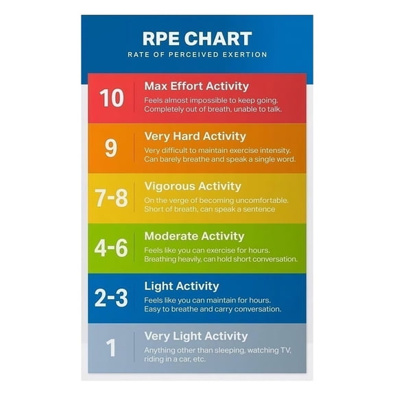 Borg RPE Scale Chart Poster Rate of Perceived Exertion Vintage Fitness Wall Art for Athletes Training Room Decor Bedroom Aesthetic Printable Workout Tool