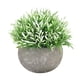 thumbnail image 1 of Plantas artificiales Plástico Falso Mini Hierba verde Flor Topiary Arbustos Wmkox8yii  HKAHFKAH18, 1 of 2