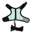 thumbnail image 2 of fastboy Hamster Rabbit Guinea Pig Rat Ferret Breathable Mesh Harness eash Blue L, 2 of 6