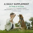 thumbnail image 3 of Pet-Tabs Dog Multivitamin 60 Count Chewable Tablets 17 Vitamins Liver Flavor, 3 of 7
