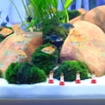 thumbnail image 4 of WASHWEPE 12Ud Decorativo Mediterráneo De Resina Para Ambientar Hogar Y Escritorio, 4 of 7