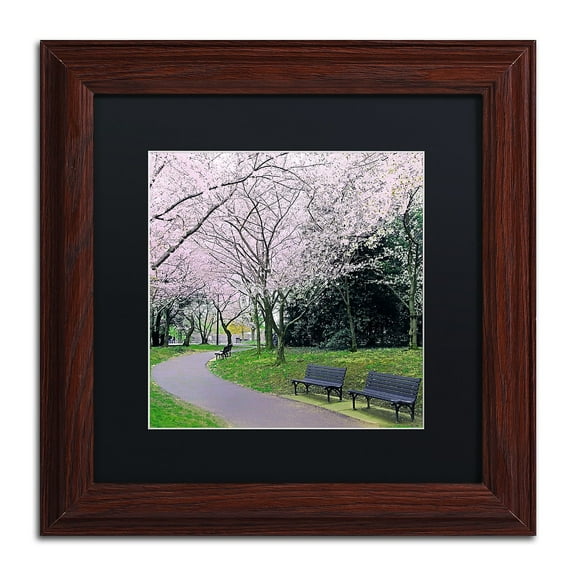 Trademark Fine Art "Spring Path" Canvas Art by CATeyes, Black Matte, Wood Frame