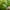 Green, variant on Super Savings! Pruning Shears for Gardening Professional Bypass Hand Pruner Up to 1 Inch Cut Capacity Sharp Stainless Steel Blade Garden Scissors Plant Flower Garden Clipper, Gardening Tools