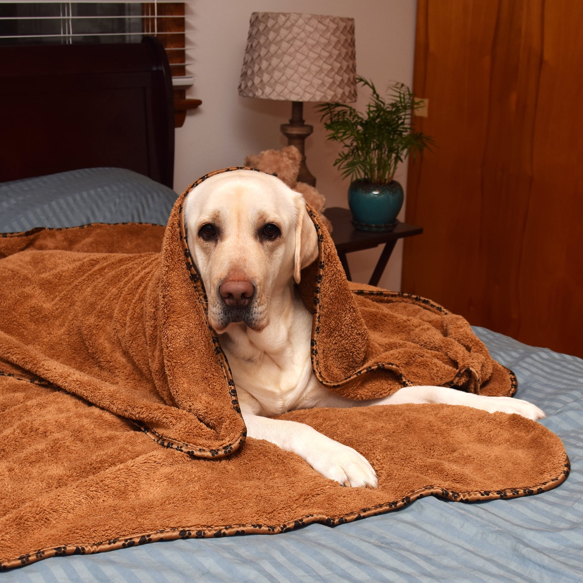 2 Pack Fleece Dog Blanket by Scrubit-Pets – Soft & Warm Pet Throw Blankets, Fluffy Paw Print Bed / Couch Cover for Dogs Cats and Puppies - Large Size (53 x 31.5)