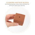 thumbnail image 2 of HOMEMAXS 50pcs Soilless Cultivation Nursery Blocks Professional Nutrient Blocks Planting Supply, 2 of 8