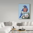 thumbnail image 3 of Trademark Fine Art 'Bluebird Watch' Canvas Art by Carol J Rupp, 3 of 3