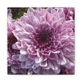 thumbnail image 2 of Pink Dahlia Floral Wall Art Canvas Gift Floral Room Decor Hanging Clearance, 2 of 7
