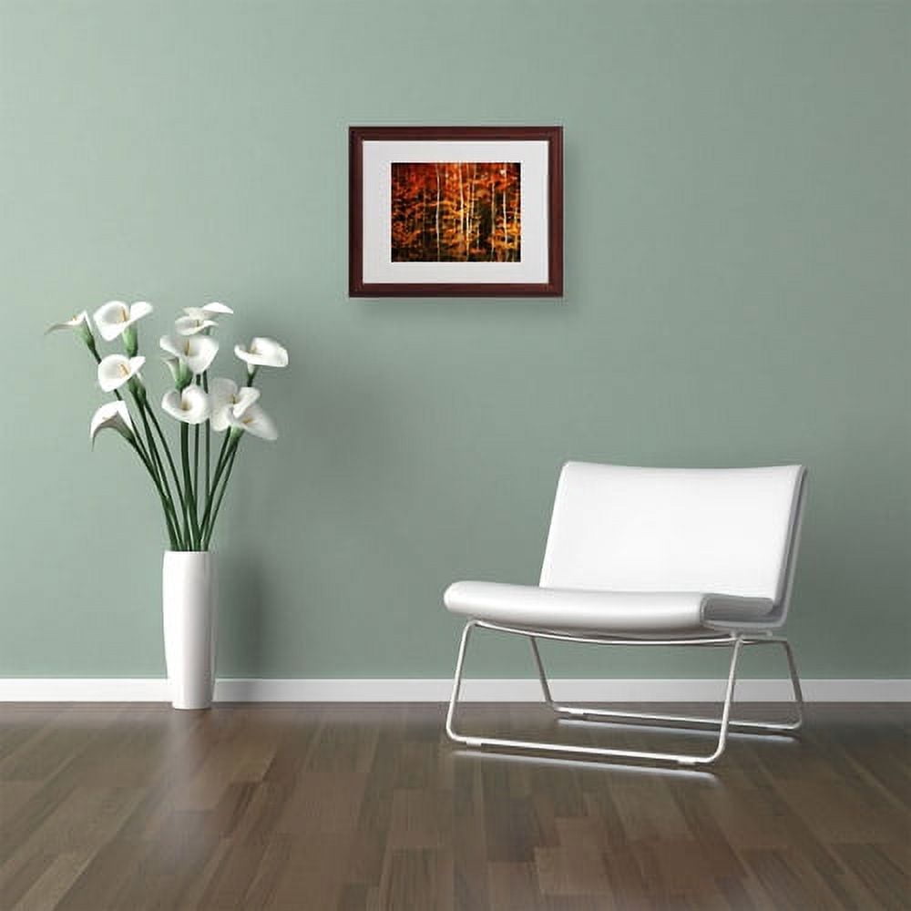Trademark Fine Art "Still Painting" Canvas Art by Philippe Sainte-Laudy, Wood Frame