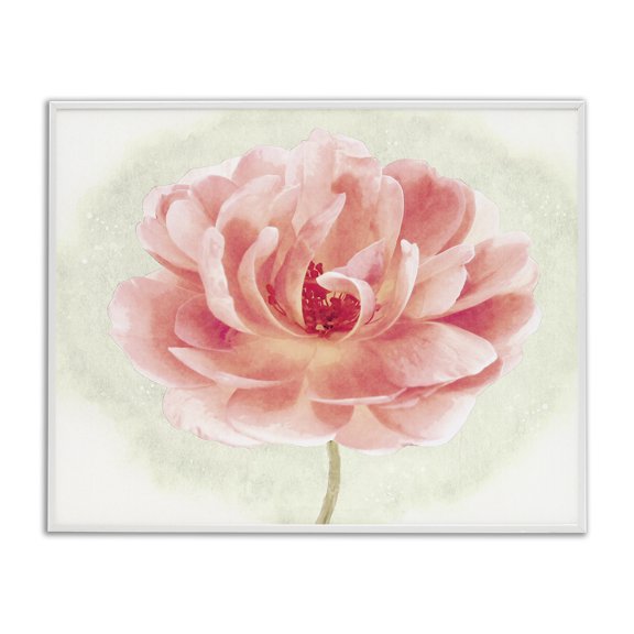 Stupell Industries Cottage Soft Pink Peony White Framed Giclee Art, 14 x 11, by Christine Zalewski