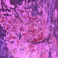 thumbnail image 1 of Ahgly Company Indoor Square Oriental Pink Industrial Area Rugs, 5' Square, 1 of 4