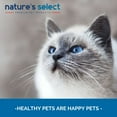 thumbnail image 5 of Nature's Select Feline Classic Nutrition Recipe - Dry Cat Food for All Ages, 5 of 6