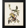 thumbnail image 2 of Audubon, John James 15x18 Black Modern Framed Museum Art Print Titled - Pl 163 Pine Warbler, 2 of 5