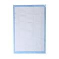 thumbnail image 1 of Super Absorbent Antibacterial Deodorant Puppy Pads Diapers Pet Training Wee Wee Pads 45x60cm, 1 of 2