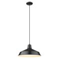 thumbnail image 2 of Acclaim Lighting Alcove IN31144 Pendant Light, 2 of 3