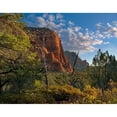 thumbnail image 3 of Fitzharris, Tim 18x15 Black Modern Framed Museum Art Print Titled - Coconino National Forest near Sedona-Arizona-USA, 3 of 5