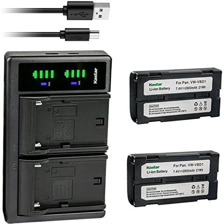 Kastar 2-Pack Battery and LTD2 USB Charger Replacement for Panasonic NV-D Series NV-DE3 NV-DJ1 NV-DJ100 NV-DL1 NV-DP1