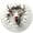 E, variant on EUDIDV Christmas Decorations Hang one hat Round Acrylic Christmas Decorations Reindeer Hanging Sign Festive Wall Decorations
