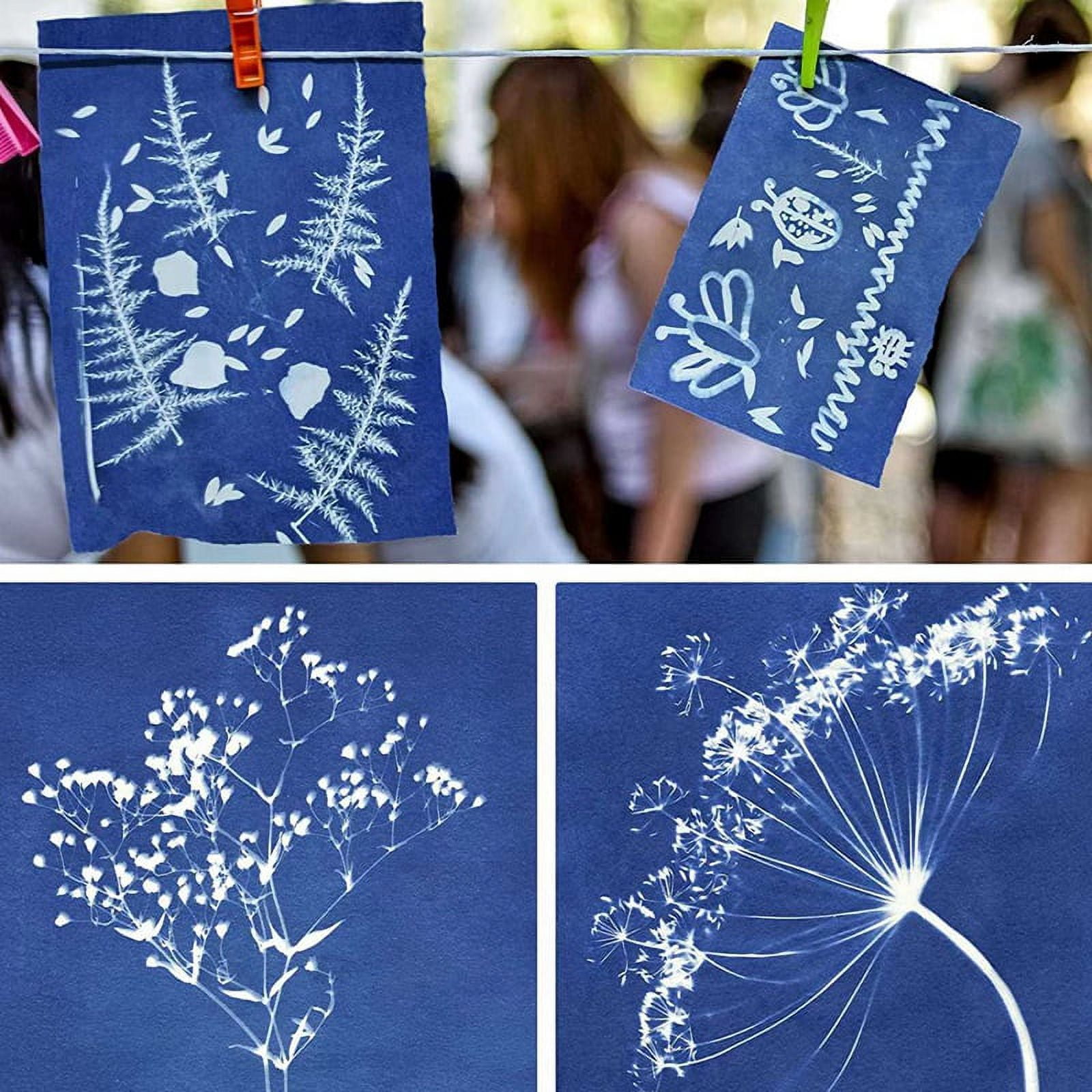 244Pcs Sun Print Paper Cyanotype Paper Kit,Solar Drawing Paper Sensitivity Sun Print Nature Printing Paper(5.9X3.9 Inch)
