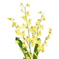 thumbnail image 6 of Northlight 23.5" Dancing Lady Orchid Silk Flower Artificial Potted Plant - Yellow, 6 of 9