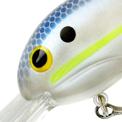 Chartreuse Shad