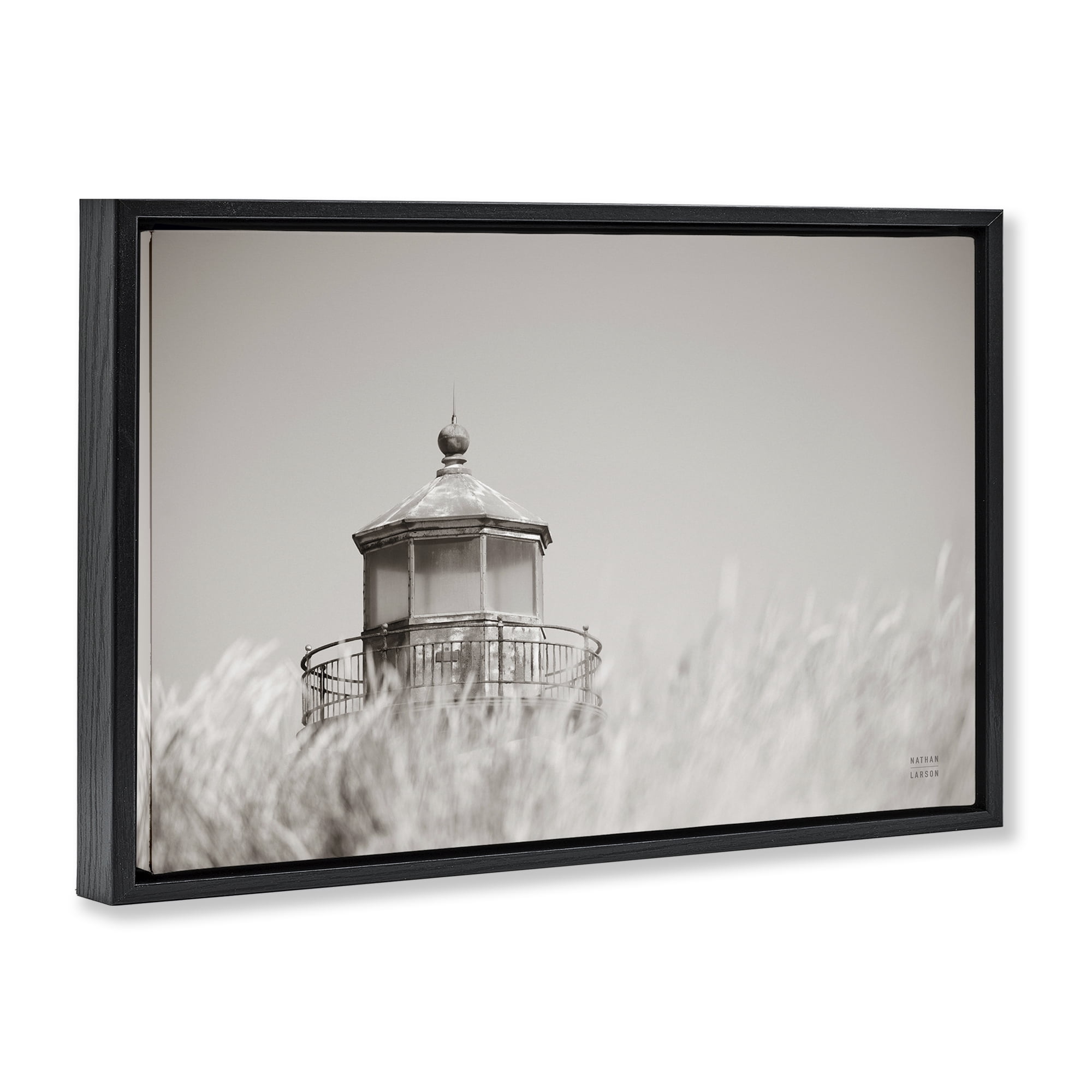 Stupell Industries Swaying Reeds & Lighthouse Landscape Photography Black Floater Framed Canvas Art Print Wall Art, 25 x 17