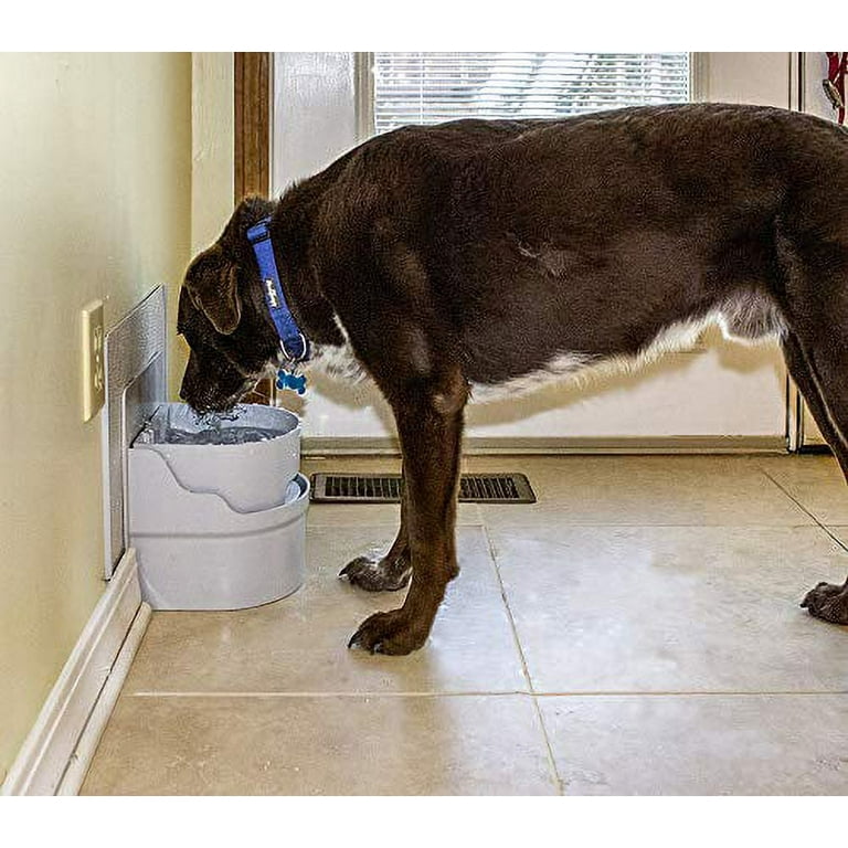 Automatic dog water bowl indoor 2025
