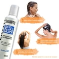 thumbnail image 2 of Shampoo Nefertiti Control De Caspa Sin Sal 300 ml, 2 of 5