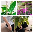 thumbnail image 4 of FOLOYORI 3Ud Antena De Para Cultivo Vegetal Hogar Propicia Fuertes Y Resistentes, 4 of 7