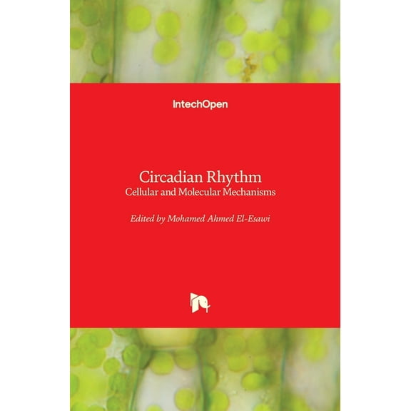 Circadian Rhythm: Cellular and Molecular Mechanisms (Hardcover)