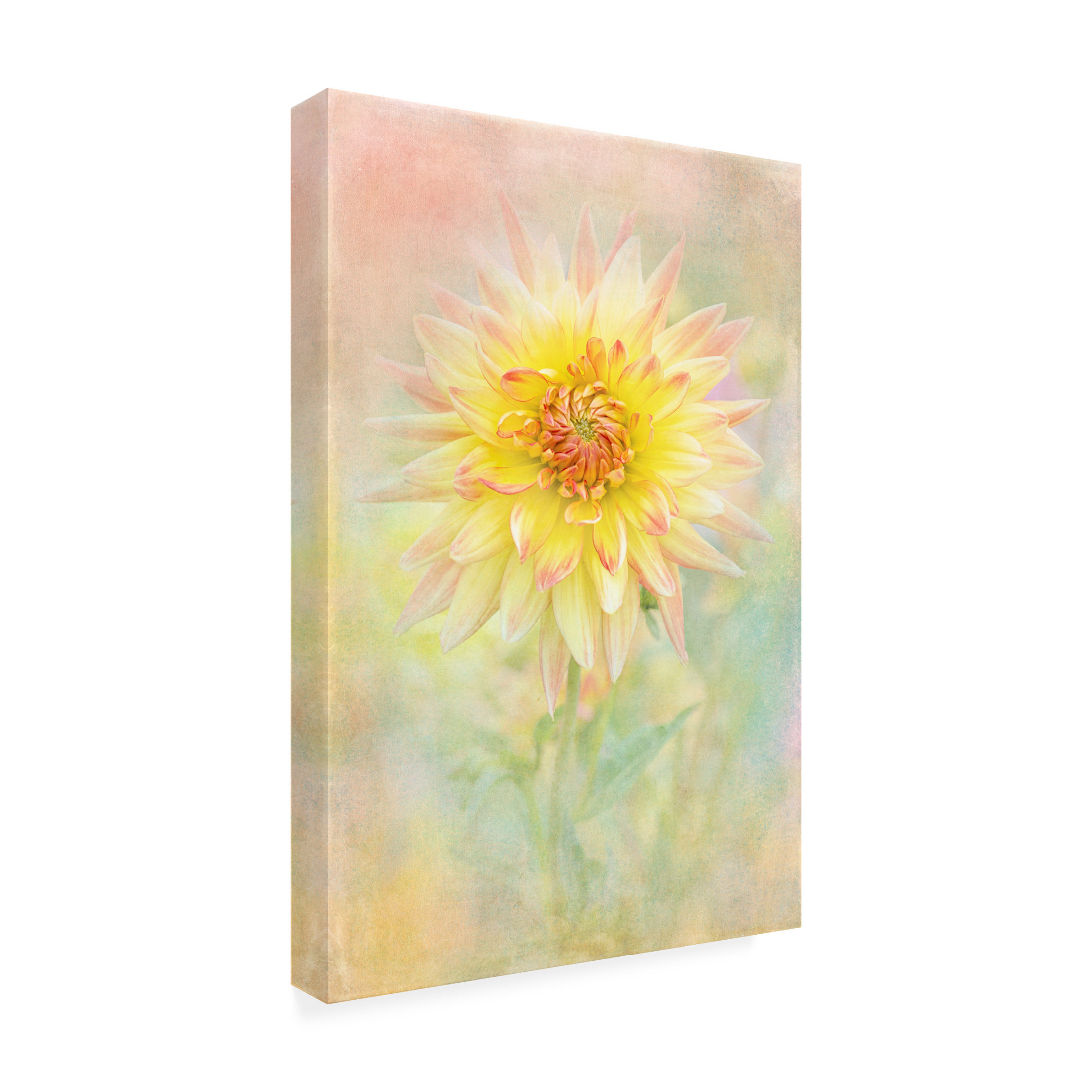 Trademark Fine Art Jacky Parker Lemon Spritz Canvas Wall Art