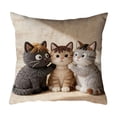 thumbnail image 2 of Euaioeiu Cute Animal Pillow Cover Fluffy Embroidery Decorative Throw Pillow Case Soft Accent Cushion Cover for Living Room Sofa Bedroom Decor Festival Home Decor, 2 of 6