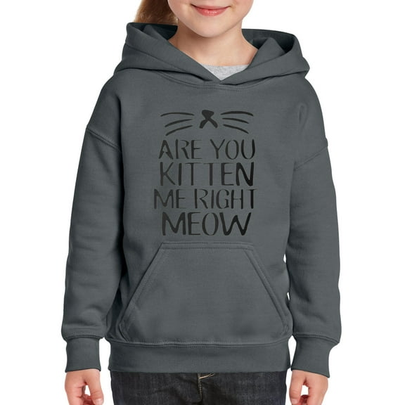 Artix - Big Girls Hoodies and Sweatshirts - Are You Kitten Me Right Meow