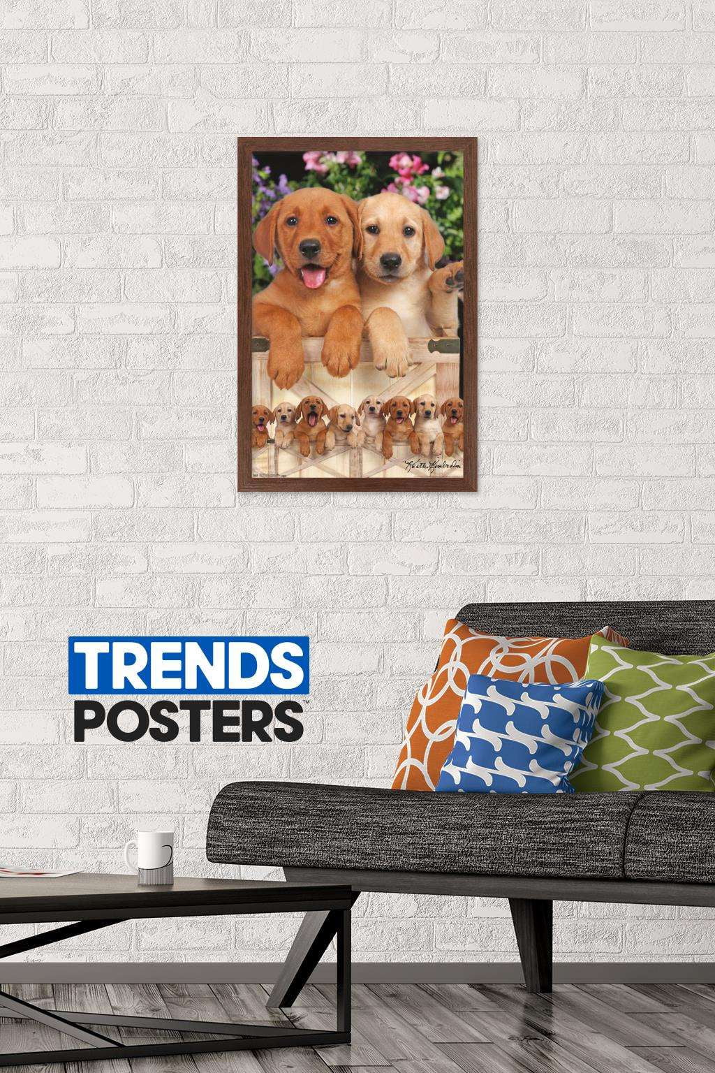 Keith Kimberlin - Puppies - Labs Wall Poster, 14.725" x 22.375", Framed