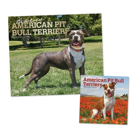 American Pit Bull Terriers 2019 Calendar Gift Set, by