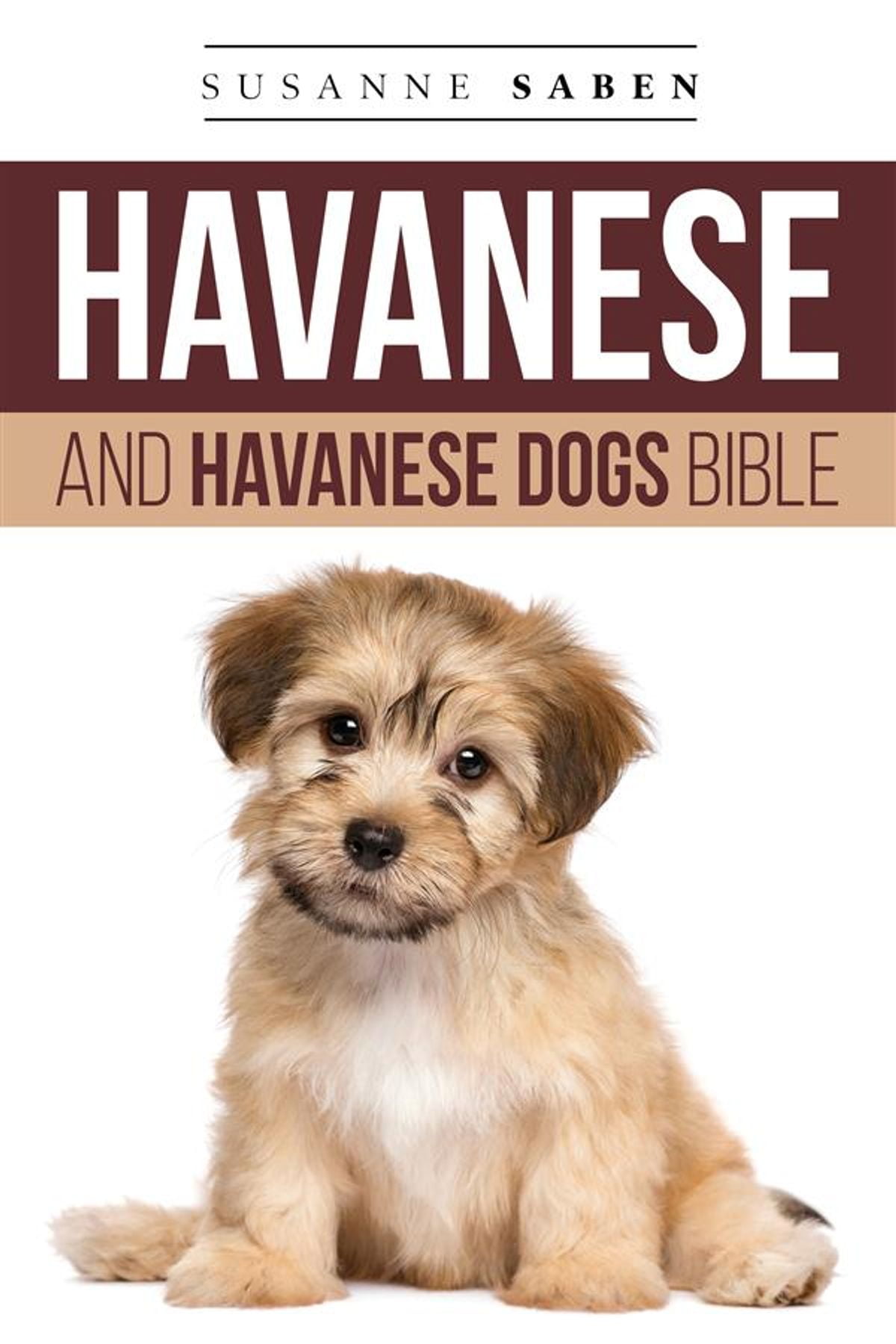 havanese stuffed animal dog