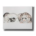 thumbnail image 1 of Epic Graffiti 'Family Of Ferrets' by Barbara Keith, Canvas Wall Art, 34"x26", 1 of 8