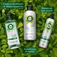 thumbnail image 5 of Crema para peinar Herbal Essences Detox & hidratación ligera 300 ml, 5 of 5