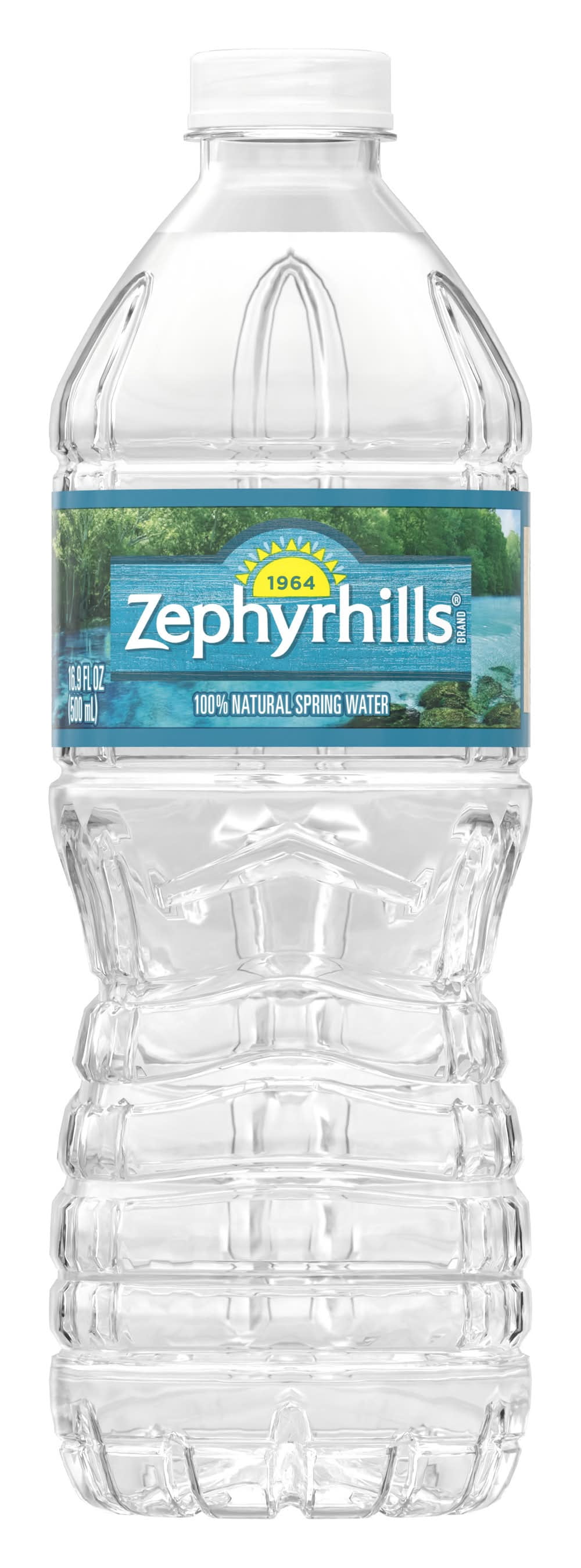 Zephyrhill 100% Natural Spring Water – Pure, Refreshing Hydration- Generic (16.9 Fl Oz (Pack of 20))