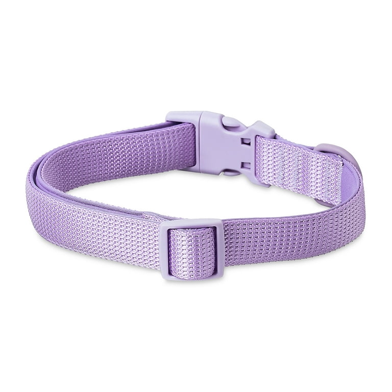 Vibrant Life Adjustable Dog Collar with Neoprene, Lilac photo 8