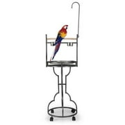 Coziwow 72" Large Parrot Playstand Bird Perch Iron Feeding Station W/ Stainless Steel, Black