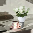thumbnail image 6 of Artificial Potted Plants for Home Decor - Silk Real Touch Fake Flowers in Decorative Pots, Small Artificial Greenery for Office Desk, Table Centerpiece, Bedroom & Dining Room Decor, 6 of 6